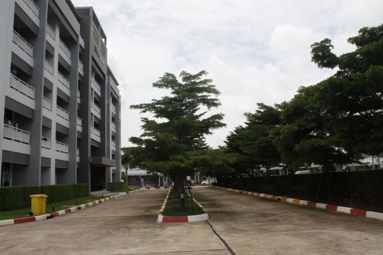 อุดม อพาร์ทเม้นท์ Udom Apartment