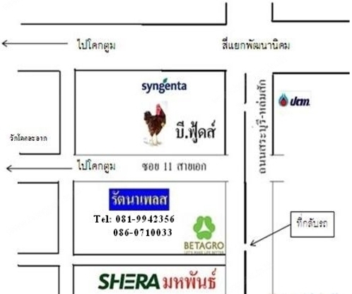 รัตนาแมนชั่น Rattana Mansion