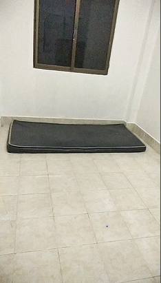 หอเขียว
