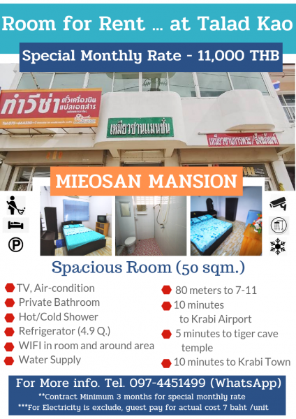 เหมียวซานแมนชั่น Mรeo San Mansion