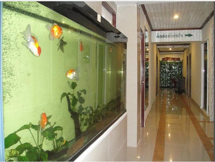 ปวีณา แมนชั่น Paweena Mansion