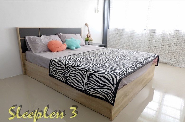 เดอะ สลีพเลส 3 บางกรวย The Sleepless 3 - Bang Kruai