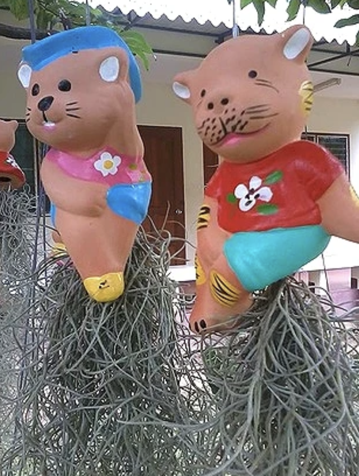 หอพักคุณหน่อย กำแพงแสน Khun Noi's Dorm Kamphaengsaen
