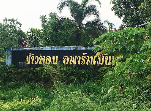 ข้าวหอมอพาร์ตเมนต์