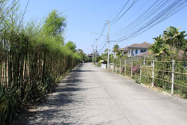บ้านสวนป่าลาน