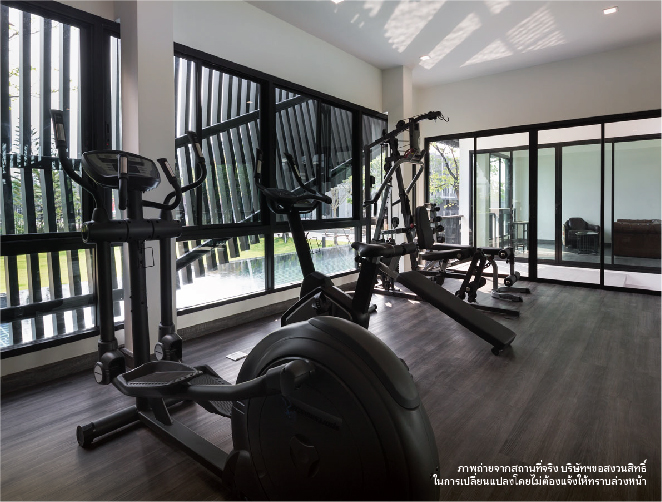 เวิร์ฟ เพชรเกษม 81 