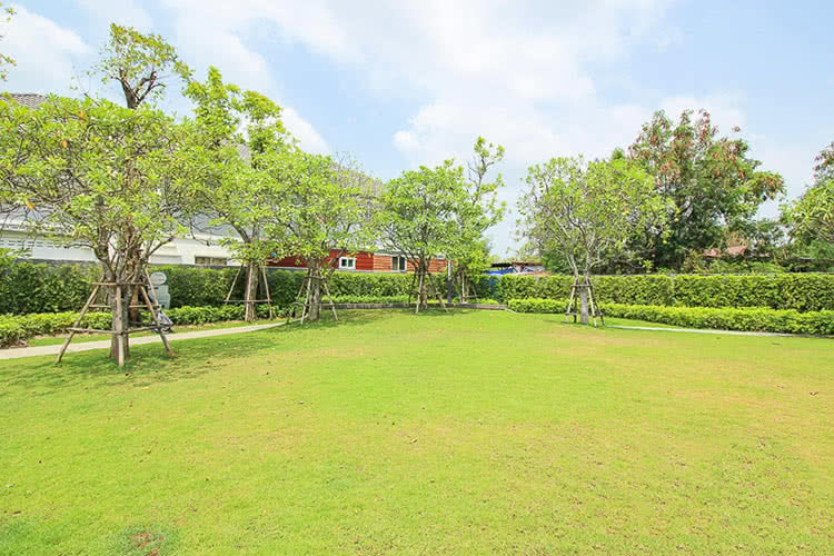 บ้านพฤกษา 105 ฉลองกรุง-ลาดกระบัง