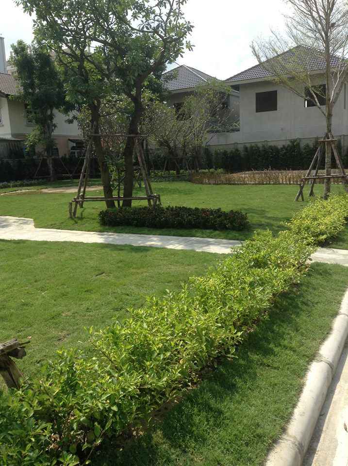 นาวาสิริ เพชรเกษม-ซอยโรมัน Navasiri Petchkasem-Soi Roman