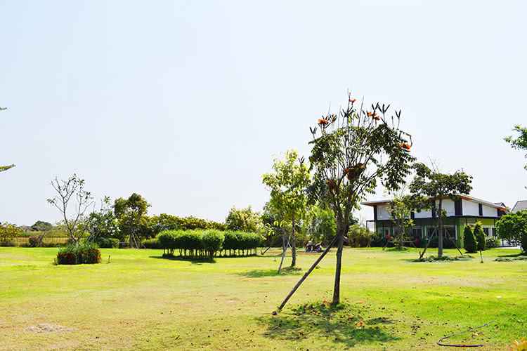 บ้านทรัพย์ธานี 3 รังสิต คลอง 9 Baan Supthanee 3 Rangsit Khlong 9