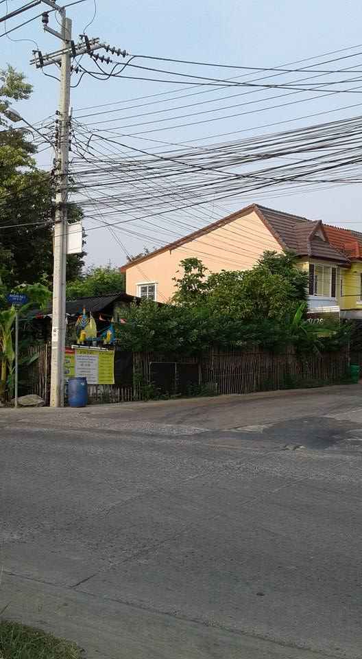 บ้านธรรมชาติ เพิ่มสิน-ออเงิน Baan Thammachad Permsin-Orngoen