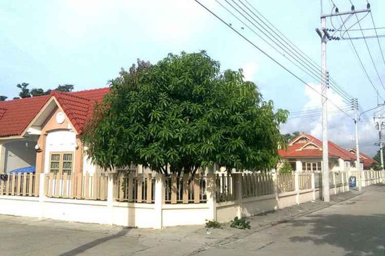 พฤกษ์สราญ ลำลูกกา คลอง 9 Pruek Saran Lamlukka Khlong 9