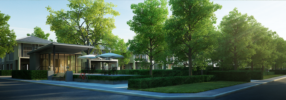 ภัทรีดาอเวนิว ปทุมธานี Patreeda Avenue Pathumthani