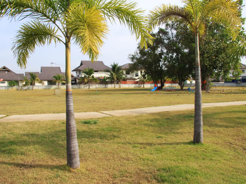เชียงใหม่ล้านนาวิลเลจ เฟส 7 (บ้านเจ้าคุณ) Chiang Mai Lanna Village Phase 7 (Baan Chaokhun)