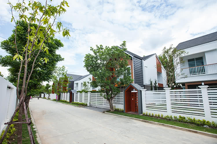 โรสรินทร์ Rosesarin
