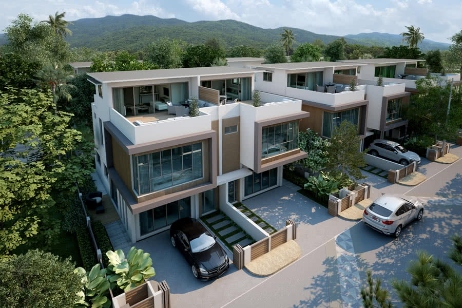 โรชาเลีย Rochalia