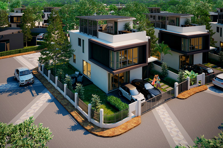 โรชาเลีย Rochalia