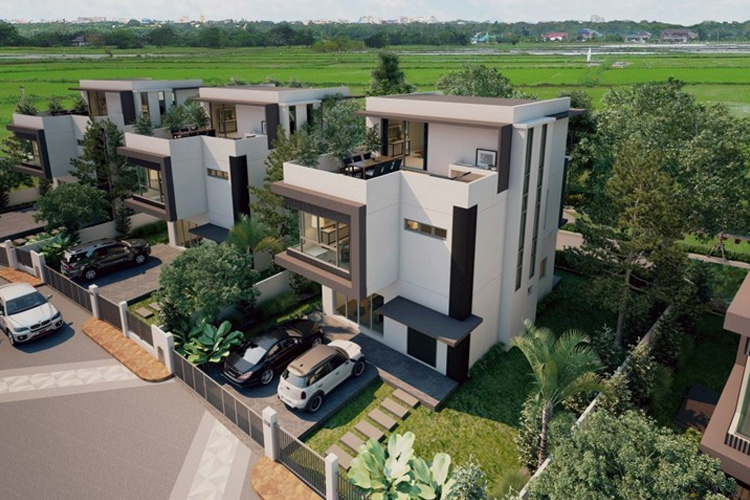 โรชาเลีย Rochalia