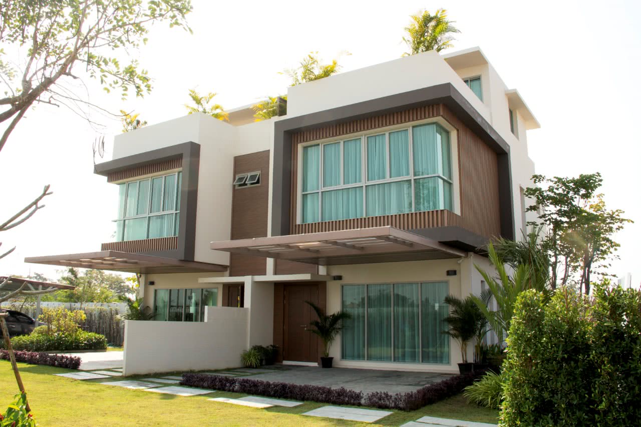 โรชาเลีย Rochalia