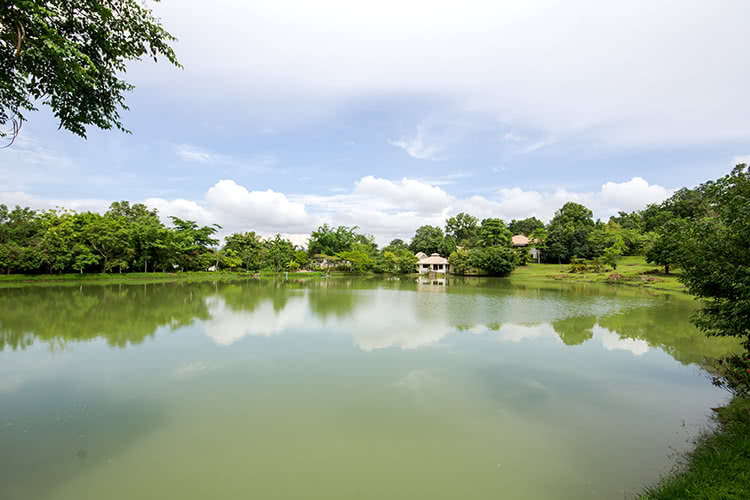 บ้านภูปลายฟ้า Baan Phu Plai Fah