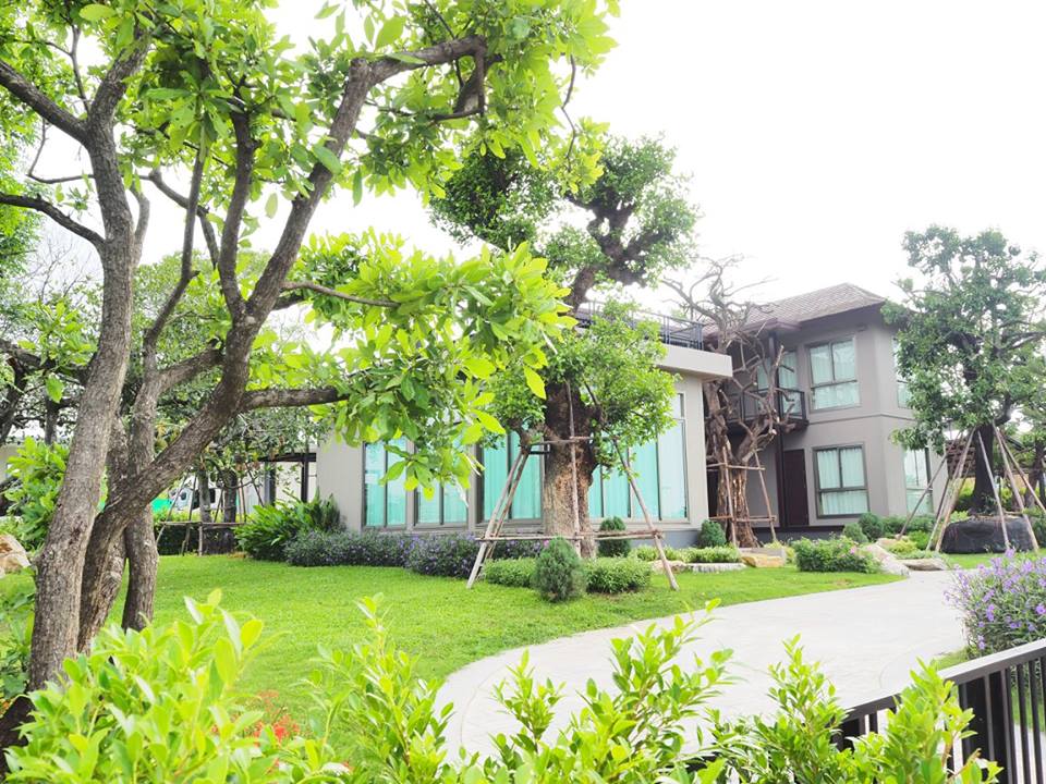 บ้านสีตวัน ปากช่อง-เขาใหญ่ Baan Sita Wan Pakchong-Khaoyai