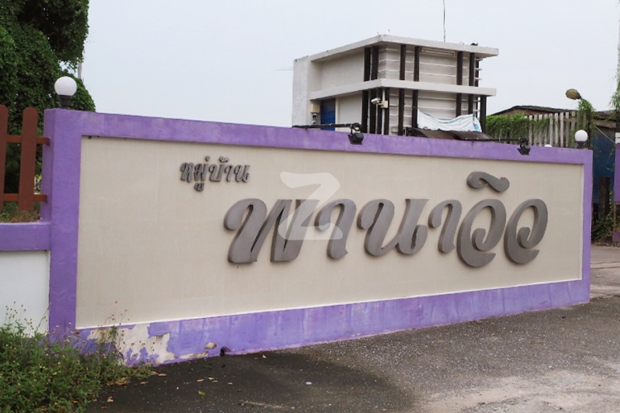 พานาวิว 1 Panaview 1