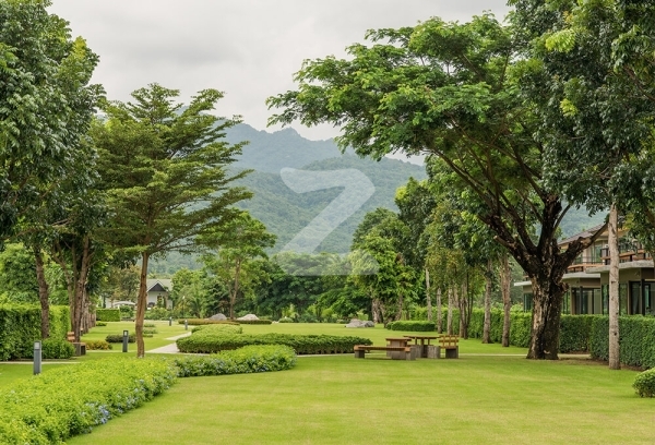 ครีเอ้ เขาใหญ่ Crea Khao Yai