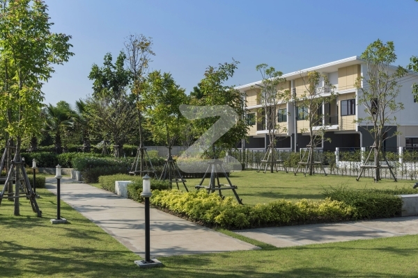พฤกษาพรรณ กระดีเดียว 3 Pruksaphan Kradi Diao 3