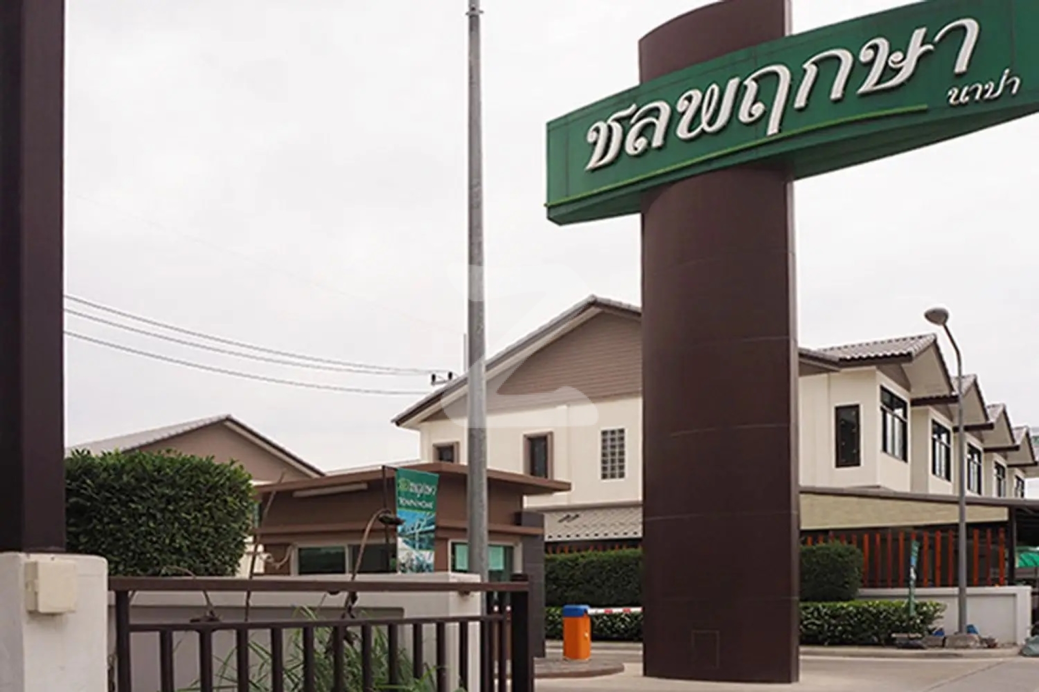 ชลพฤกษา นาป่า Cholpruksa Napa