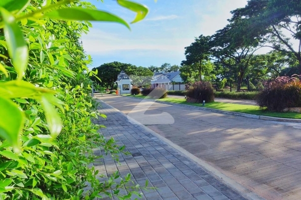 วราสิริ แฟร์ฟอร์ด Warasiri Fairford