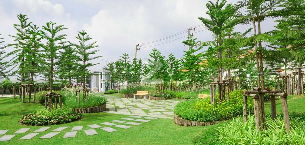 ซิตี้เซนส์ รังสิต City Sense Rangsit