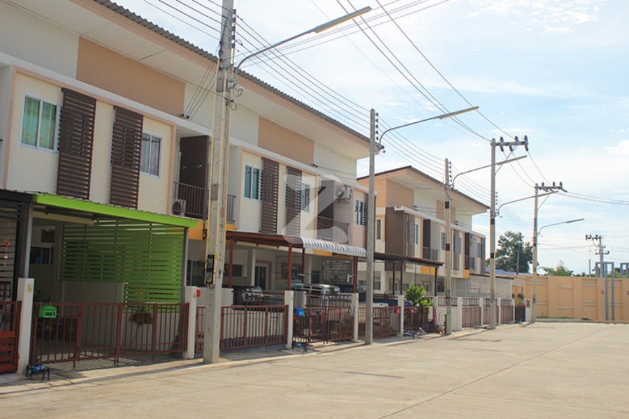 เดอะ เวลท์ The Wealth