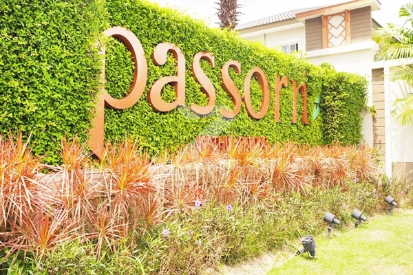 ภัสสร กะทู้-ป่าตอง Passorn Kathu-Patong