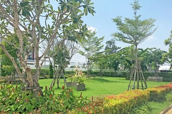 บ้านพิศาล ลาดกระบัง 3 Baan Pisan Ladkrabang 3