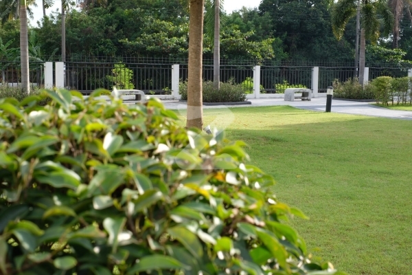 เมอริโต้ เพชรเกษม 63 Merito Petchkasem 63