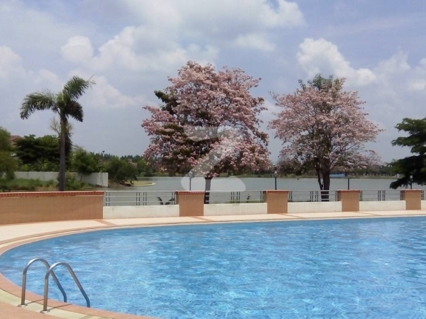 เดอะ ลากูน 1-2 The Lagoon 1-2