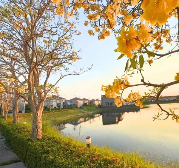 เดอะ เลค วิว 304-โรจนะ The Lake View 304-Rojana