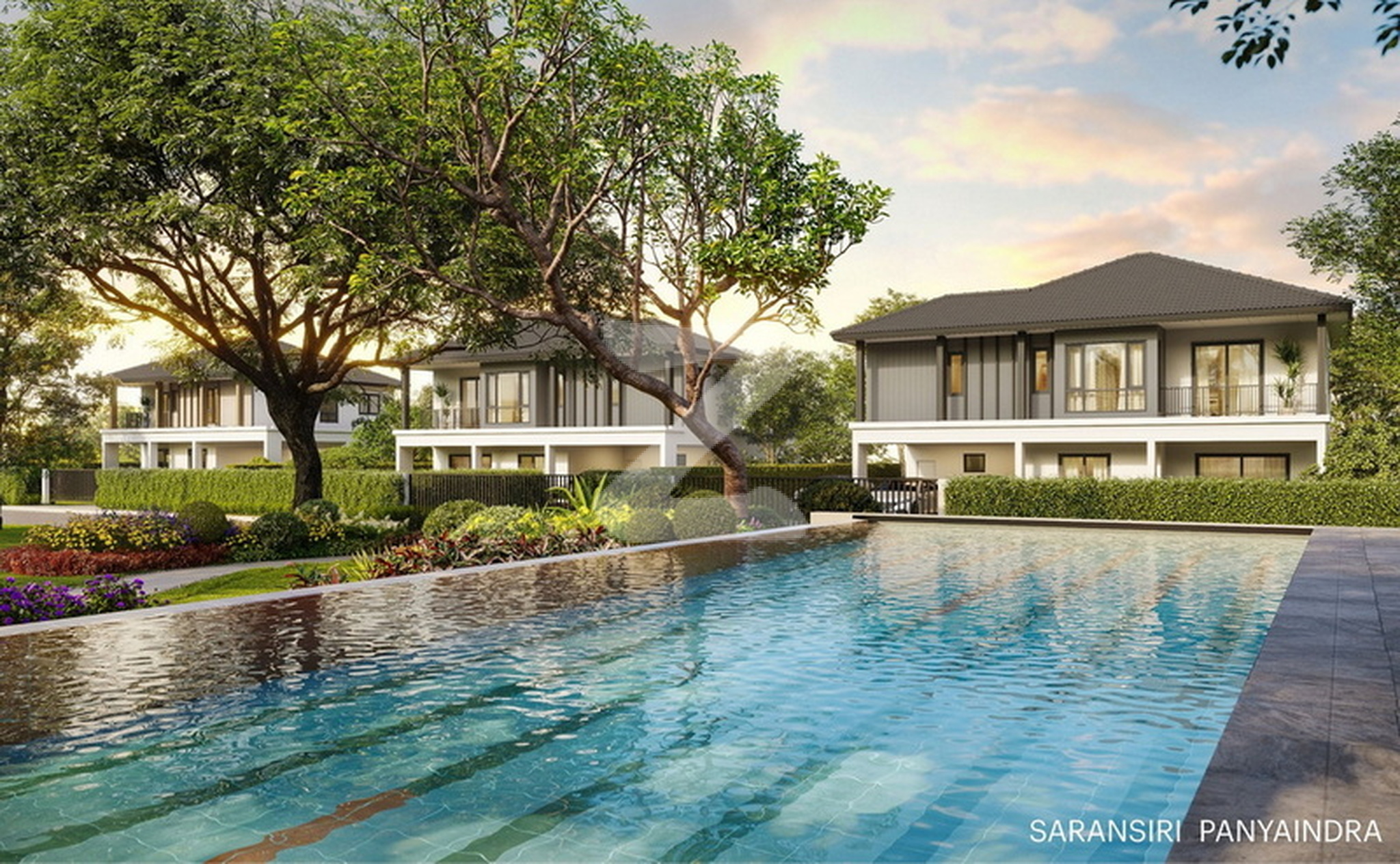 สราญสิริ ปัญญาอินทรา Saransiri Panya Indra