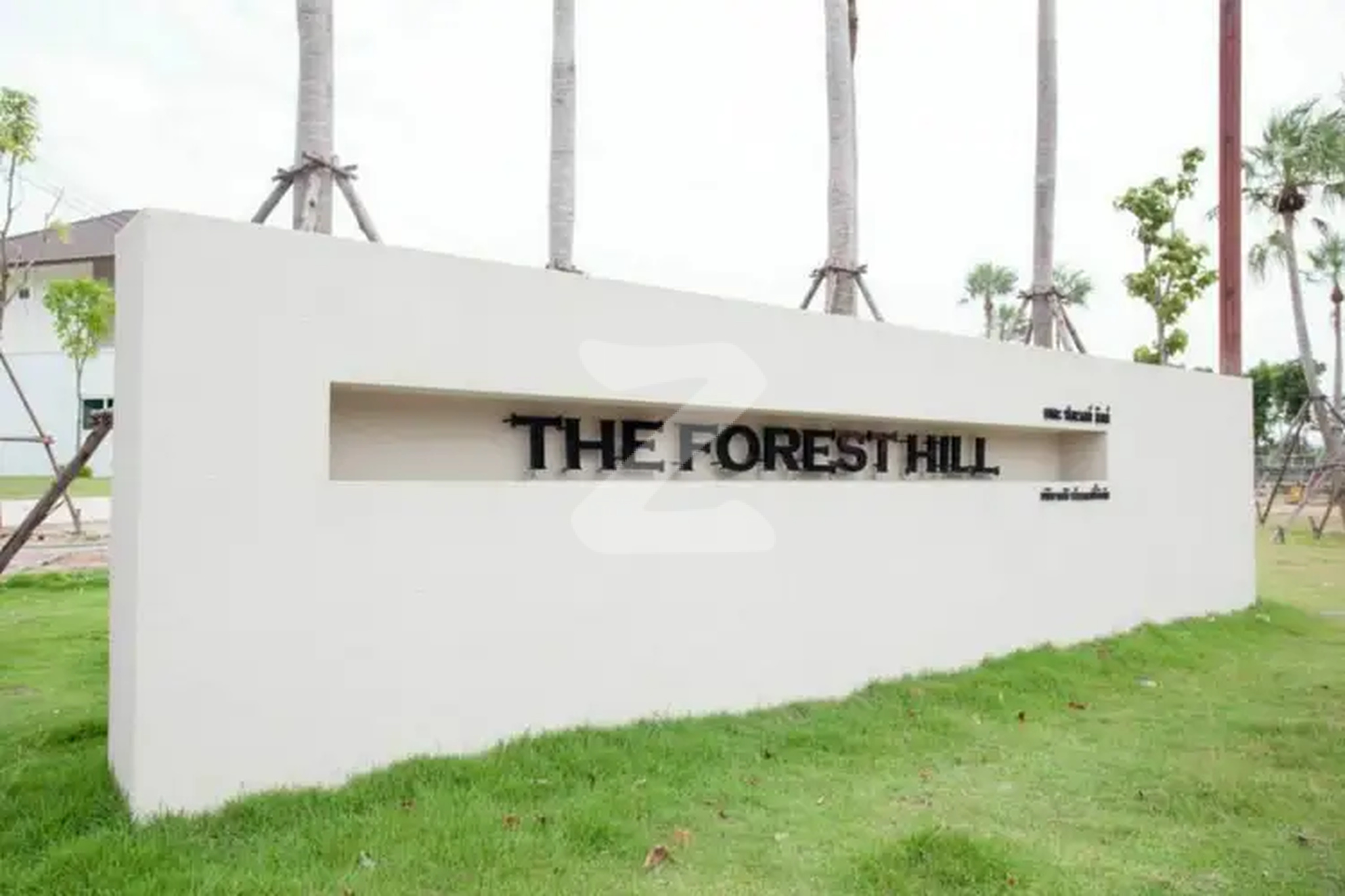 เดอะ ฟอเรสต์ ฮิลล์ The Forest Hill
