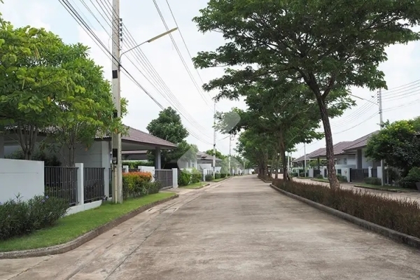 ปณาลี บ้านนา Panalee Banna