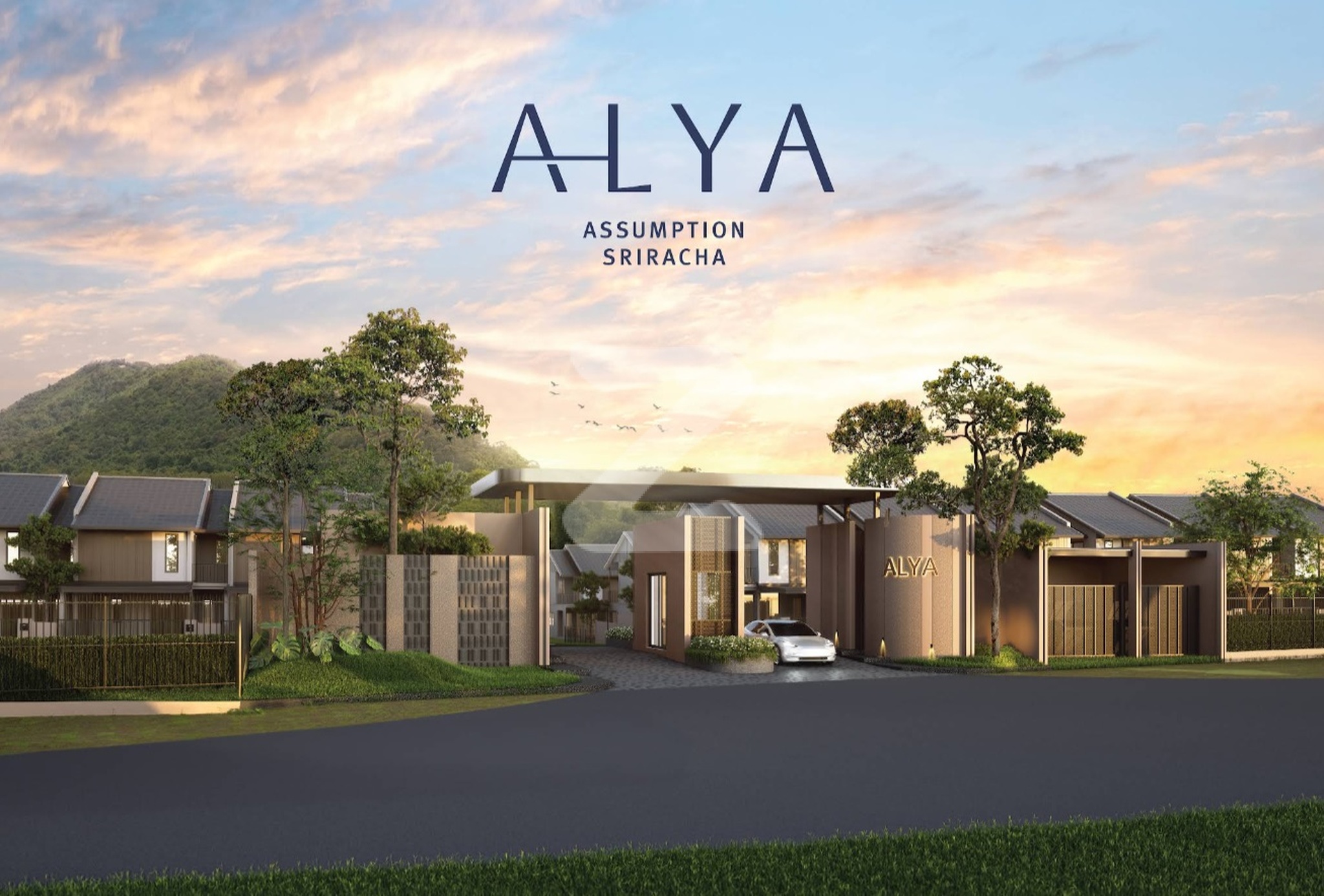 อัลญา หลังอัสสัมชัญ-ศรีราชา ALYA Assumption Sriracha