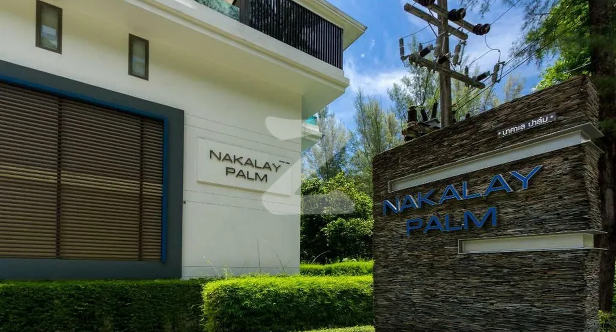 นาคาเล ปาล์ม Nakalay Palm
