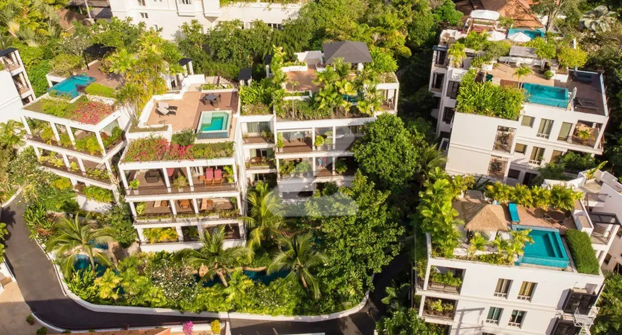 กะตะการ์เด้นส์ Kata Gardens