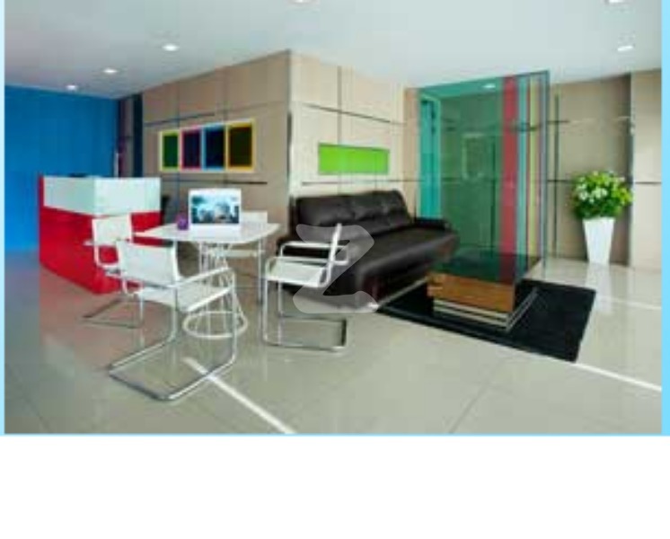 เดอะ คัลเลอรี่ วิวิด The Colory Vivid