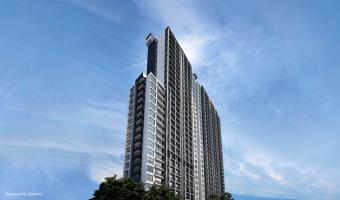 เดอะ ทรี อินเตอร์เชนจ์ The Tree Interchange