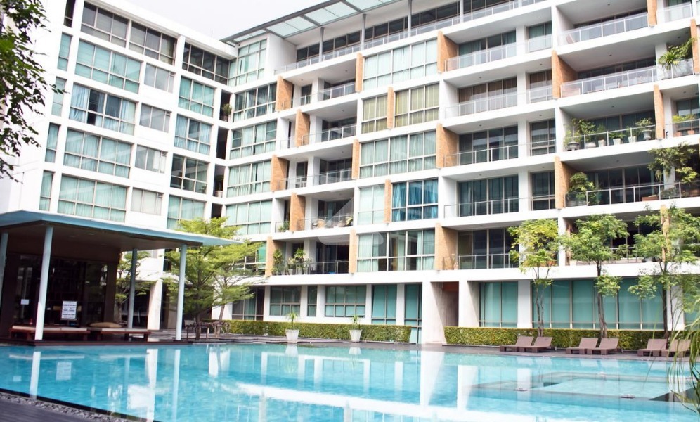 ฟิคัส เลน Ficus Lane