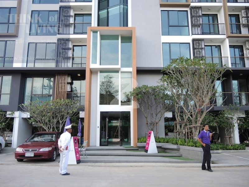 เซล รัตนาธิเบศร์ Zelle Rattanathibet