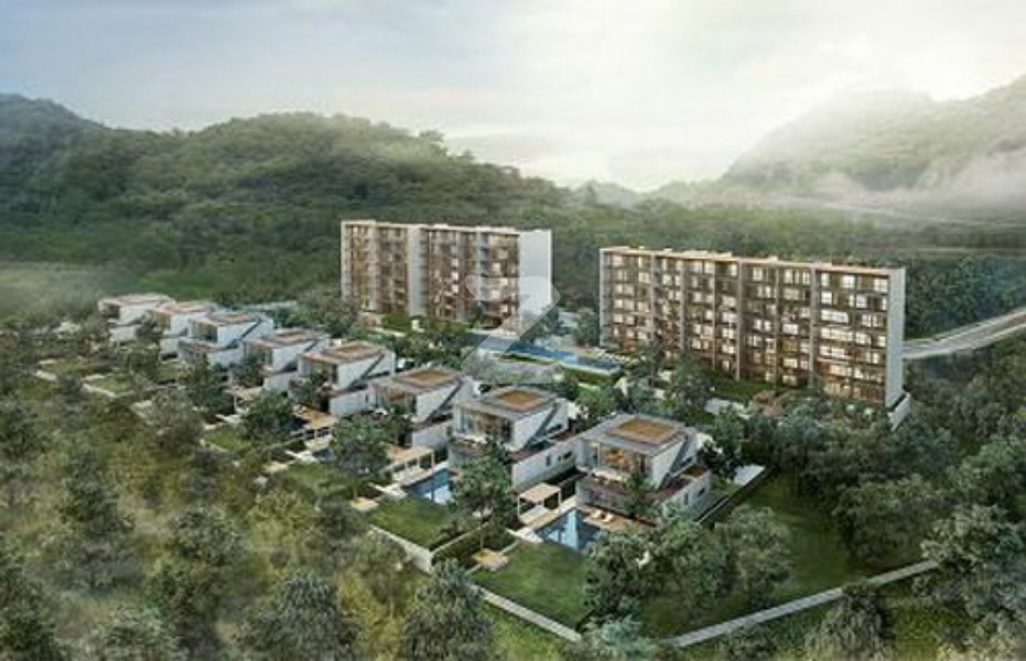 อากาศ เขาใหญ่ Akas Khaoyai