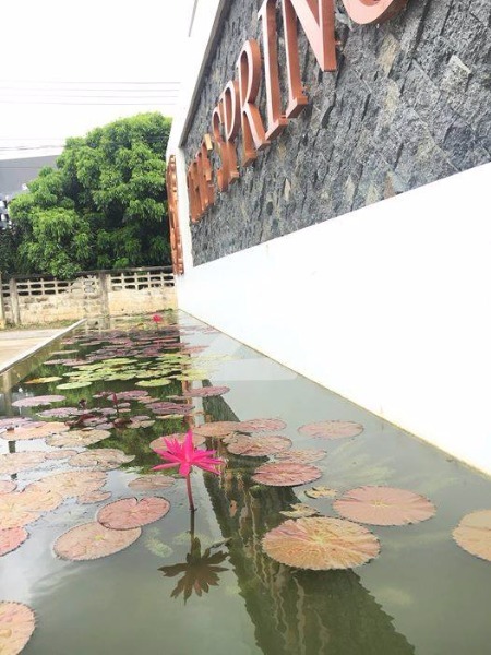 เดอะ สปริง คอนโด เชียงใหม่ The Spring Condo Chiangmai
