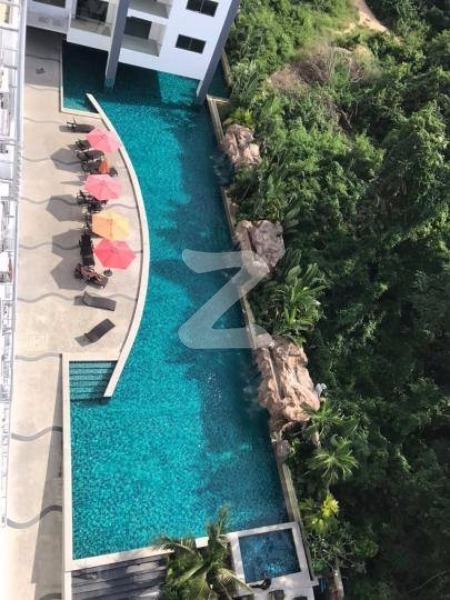 คลับ รอยัล คอนโดมิเนียม วงศ์อมาตย์ พัทยา ซีและดี Club Royal Condominium Wongamat Pattaya (C,D)