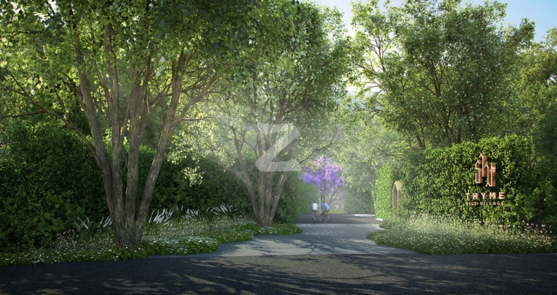 ไทม์ ฮิลล์ วิลเลจ Thyme Hill Village